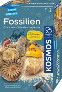 Produktbild: Fossilien