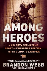 Produktbild: Among Heroes