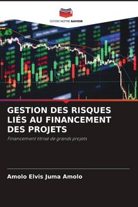 Produktbild: Gestion des Risques Li&eacute;s Au Financement des Projets