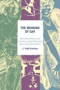 Produktbild: The Meaning of Gay