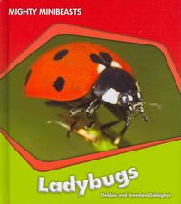 Produktbild: Ladybugs