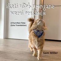 Produktbild: ikati uBob umngane wami omkhulu - A Purrrfect Time (Zulu Translation)