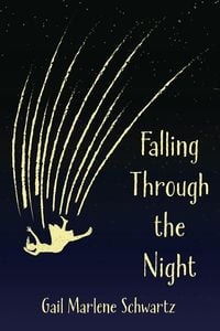 Produktbild: Falling Through the Night by Gail Marlene Schwartz