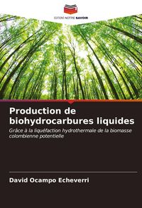 Produktbild: Production de biohydrocarbures liquides