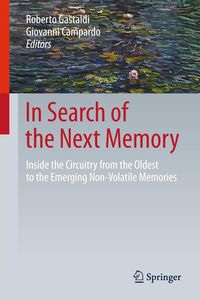 Produktbild: In Search of the Next Memory