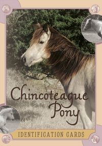 Produktbild: Chincoteague Pony Identification Cards, Set 2