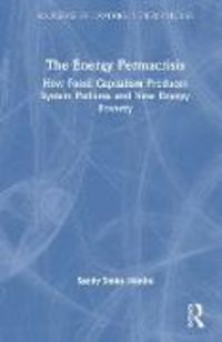 Produktbild: The Energy Permacrisis