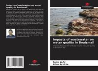 Produktbild: Impacts of wastewater on water quality in Bouismail