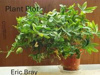 Produktbild: Plant Plot