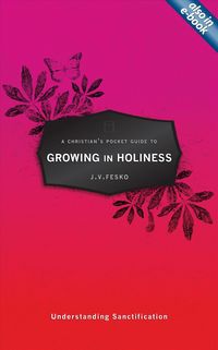 Produktbild: Fesko, J: A Christian's Pocket Guide to Growing in Holiness