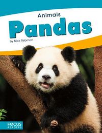 Produktbild: Pandas