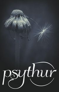 Produktbild: Psythur