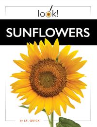 Produktbild: Sunflowers