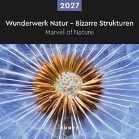 Produktbild: Wunderwerk Natur &ndash; Bizarre Strukturen - KUNTH Broschurkalender 2027