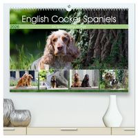 Produktbild: English Cocker Spaniels - Ein Spaziergang im Park (hochwertiger Premium Wandkalender 2026 DIN A2 quer), Kunstdruck in Hochglanz