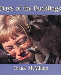 Produktbild: Days Of The Ducklings