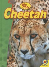 Produktbild: Cheetah