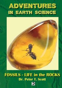 Produktbild: Fossils- Life in the Rocks