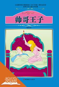 Produktbild: Handsome Princes (Ducool Fine Proofreaded and Translated Edition)