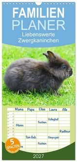 Produktbild: Familienplaner 2027 - Liebenswerte Zwergkaninchen mit 5 Spalten (Wandkalender, 21 x 45 cm) CALVENDO