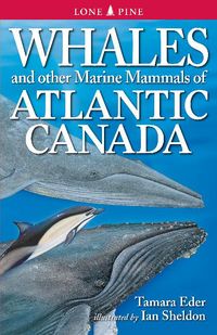 Produktbild: Eder, T: Whales and Other Marine Mammals of Atlantic Canada
