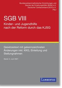 Bild vom Artikel SGB VIII - Kinder- und Jugendhilfe nach der Reform durch das KJSG vom Autor 
