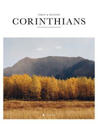 Produktbild: Book of 1 & 2 Corinthians (Sc, Nlt)