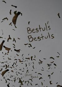 Produktbild: Bestul's Bestuls