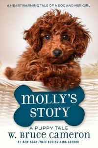 Produktbild: Molly's Story