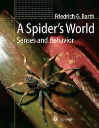 Produktbild: A Spider&rsquo;s World