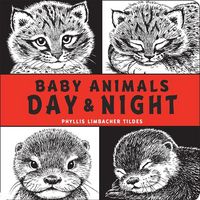 Produktbild: Baby Animals Day & Night
