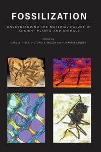 Produktbild: Fossilization