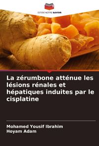 Produktbild: La z&eacute;rumbone att&eacute;nue les l&eacute;sions r&eacute;nales et h&eacute;patiques induites par le cisplatine