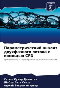 Produktbild: Parametricheskij analiz dwuhfaznogo potoka s pomosch'&uuml; CFD