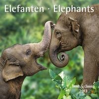 Produktbild: Elefanten - T & C-Kalender 2013