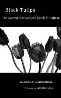 Produktbild: Black Tulips