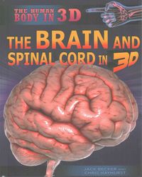 Produktbild: The Brain and Spinal Cord in 3D