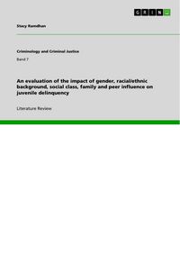 Produktbild: An evaluation of the impact of gender, racial/ethnic background, social class, family and peer influence on juvenile delinquency