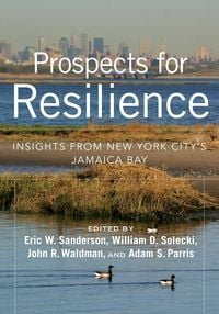 Produktbild: Prospects for Resilience