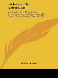 Produktbild: On Euplectella Aspergillum