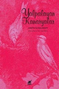 Produktbild: Yalpalayan Kanaryalar
