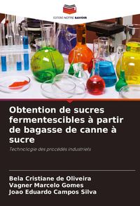 Produktbild: Obtention de sucres fermentescibles &agrave; partir de bagasse de canne &agrave; sucre