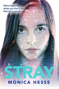 Produktbild: Stray