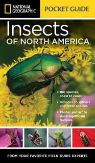 Produktbild: National Geographic Pocket Guide to Insects of North America