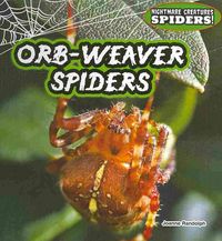 Produktbild: Orb-Weaver Spiders