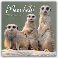 Produktbild: Meerkats &ndash; Erdm&auml;nnchen 2027 &ndash; 16-Monatskalender