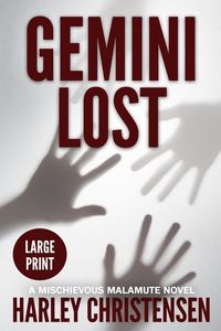 Produktbild: Gemini Lost