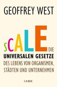 Produktbild: Scale