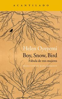 Produktbild: Boy, Snow, Bird