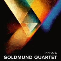 Bild vom Artikel Prisma vom Autor Goldmund Quartett